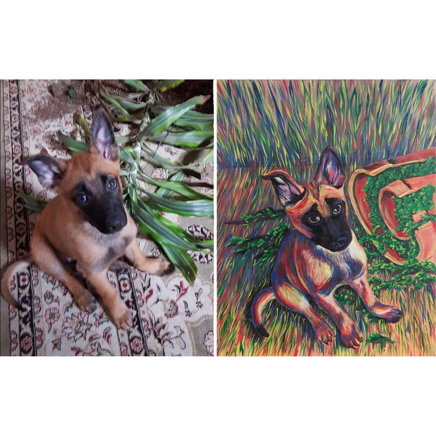 DIY Custom Pet Portrait Tutorial